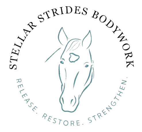 Stellar Strides Bodywork logo