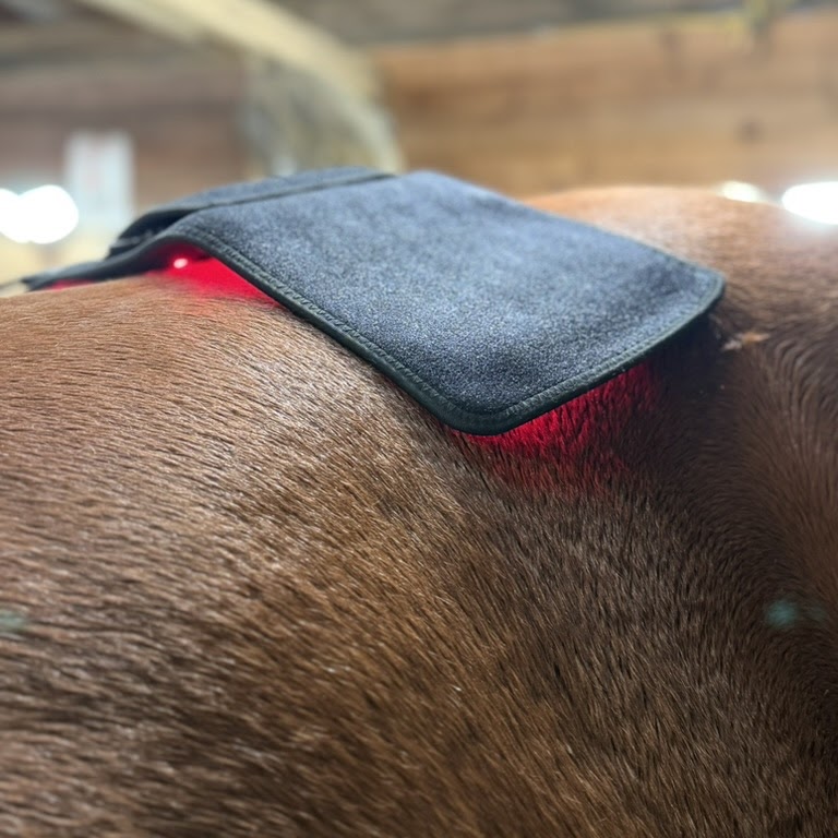 Red light therapy