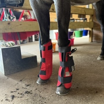 PEMF boots
