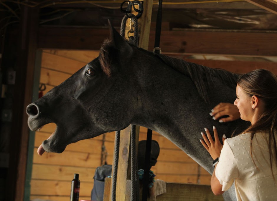 Juliet with a horse